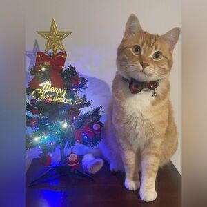 Meet our Quality Control Manager